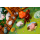 Granna Superfarmer DELUXE - 1608054 - zdjęcie 5